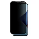 Samsung Galaxy S25+ Plus Kijelzővédő Üvegfólia - AmazingThing Radix Privacy Glass