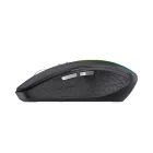 Wozinsky WMGK-1132 Vezeték Nélküli Egér + RGB - Fekete