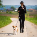 Wozinsky WPST-01 Övtáska Rugalmas Pórázzal - Fekete