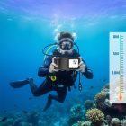 Tech-Protect IPX8 Pro Vízálló Telefontok 4.7-6.9" - Szürke-Fekete