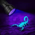 Wozinsky UV Elemlámpa - 3xAA IP65 - Fekete
